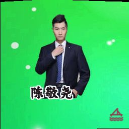 陈敬尧